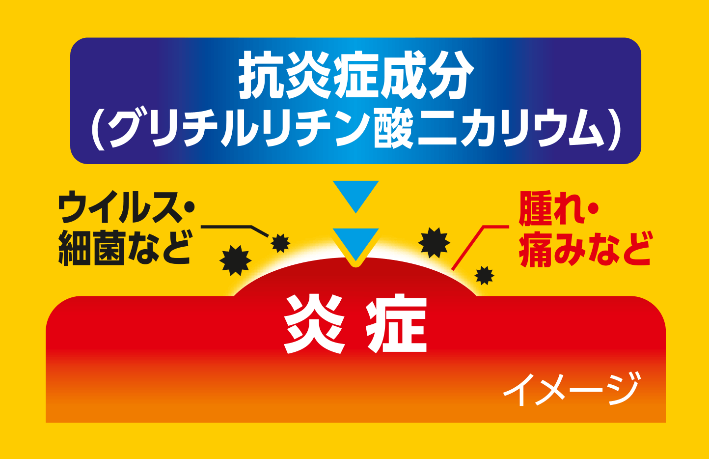 抗炎症成分(グリチルリチン酸二カリウム)がウイルス・細菌による炎症(腫れ・痛み)に作用するイメージ