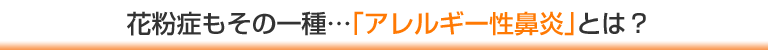 花粉症もその一種…「アレルギー性鼻炎」とは？